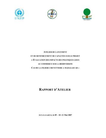 RAPPORT D'ATELIER - UNEP