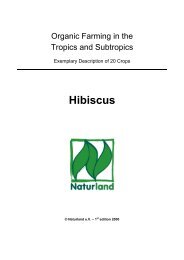 Organic Farming in the Tropics and Subtropics: Hibiscus - Naturland