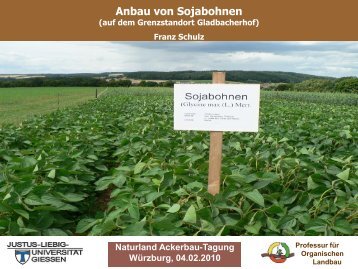 Anbau von Sojabohnen (.pdf) - Naturland