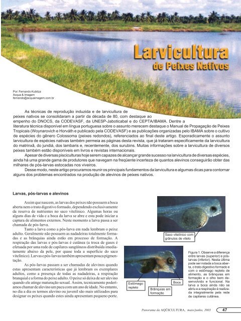 Revista Panorama da AQÜICULTURA Edição 77 maio ... - Matsuda