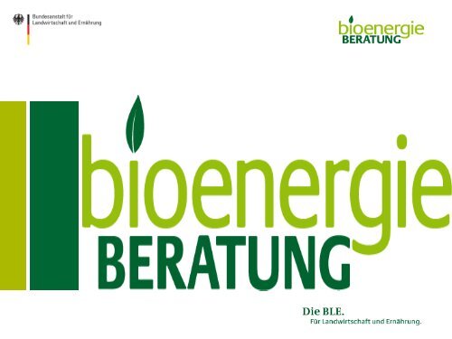 Bioenergie aus KurzUmtriebsPlantagen KUP-Begründung / 1. Jahr