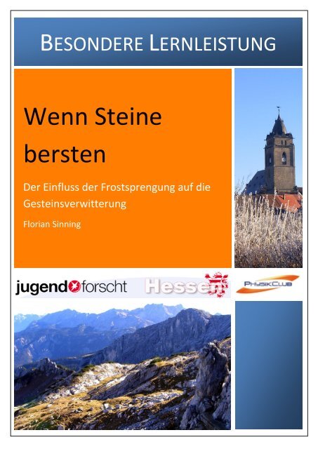 Wenn Steine bersten - DGZfP