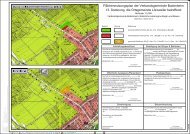 Flächennutzungsplan der Verbandsgemeinde ... - VG Bodenheim