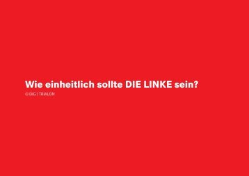 corporate identity - Die Linke. Brandenburg