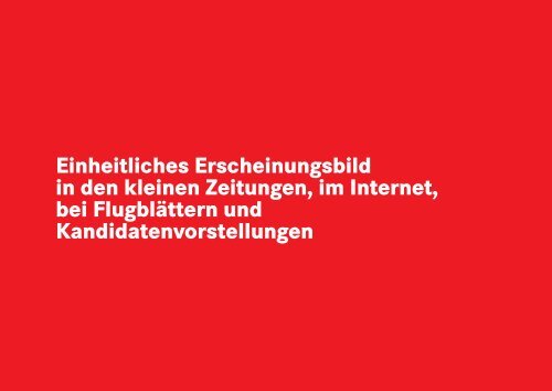 corporate identity - Die Linke. Brandenburg