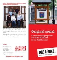 Original sozial. Kommunalwahlprogramm der Partei DIE LINKE in ...