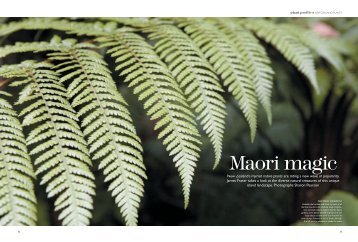 Maori magic - avant gardener