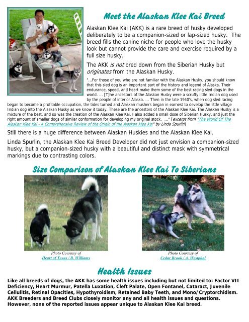 Alaskan Klee Kai: Dog Breed Characteristics & Care