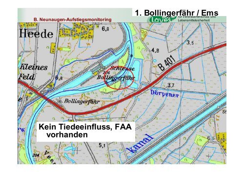 A. Neunaugen-Aufstiegsmonitoring - Wanderfische.de