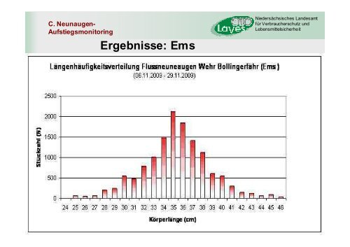 A. Neunaugen-Aufstiegsmonitoring - Wanderfische.de