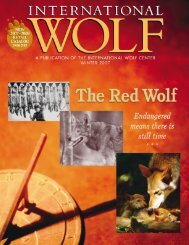 Red Wolf Timeline - International Wolf Center