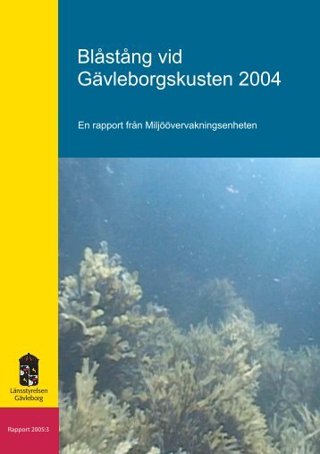 Blåstång vid Gävleborgskusten 2004 - Länsstyrelserna