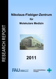 Research Report - Nikolaus-Fiebiger-Zentrum für Molekulare Medizin