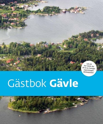 Vision Strategi Profil - Gävle kommun