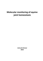 Molecular monitoring of equine joint homeostasis - uri=bmm-program