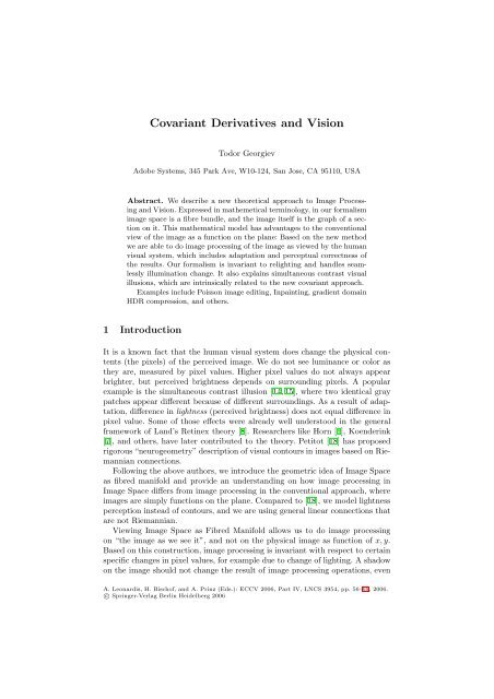 Covariant Derivatives and Vision - Todor Georgiev