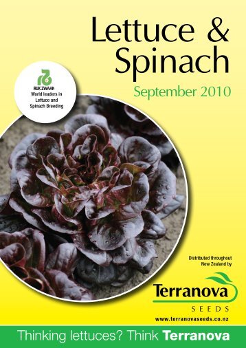 Thinking lettuces? Think Terranova - Terranova Seeds New Zealand