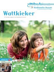 Energie und Natur im Einklang - Stadtwerke Husum