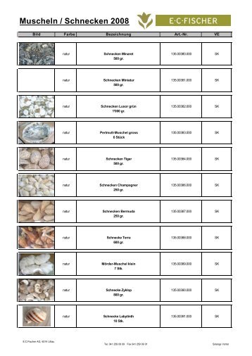 2008 Muscheln-Schnecken - EC Fischer