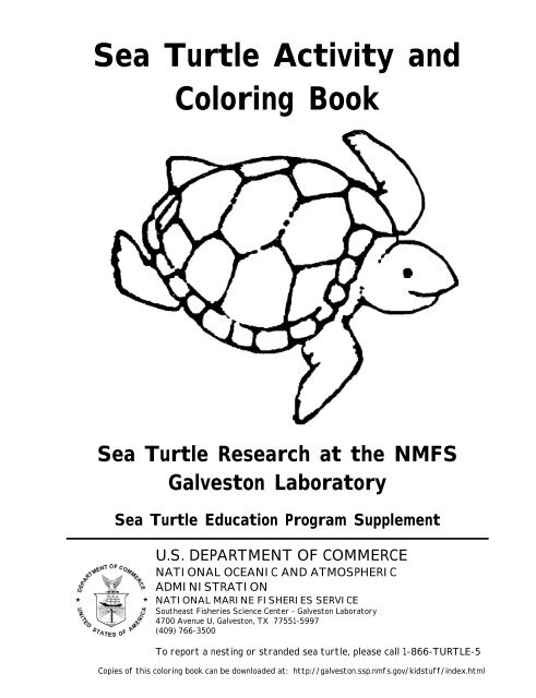 Set of 2 Giant Coloring Posters - Turtle and Dolphin Wall Coloring Poster  for Kids & Adults 