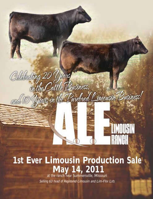 1st Ever Limousin Production Sale May 14, 2011 - Designs by Arin