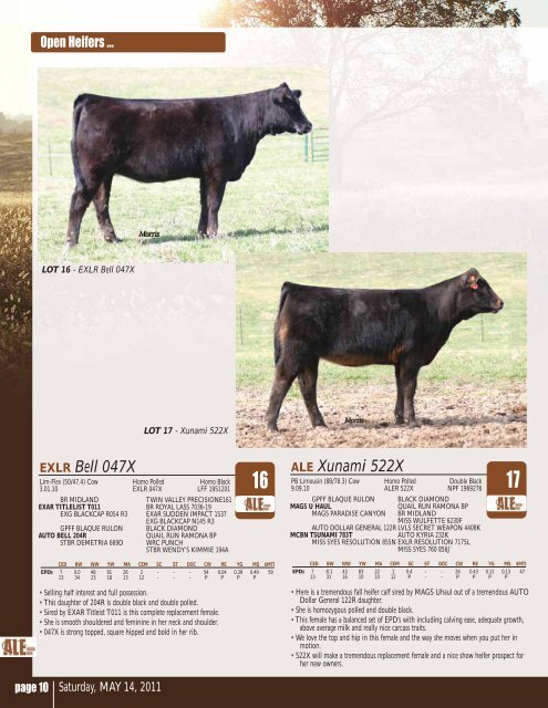 1st Ever Limousin Production Sale May 14, 2011 - Designs by Arin