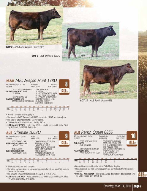 1st Ever Limousin Production Sale May 14, 2011 - Designs by Arin