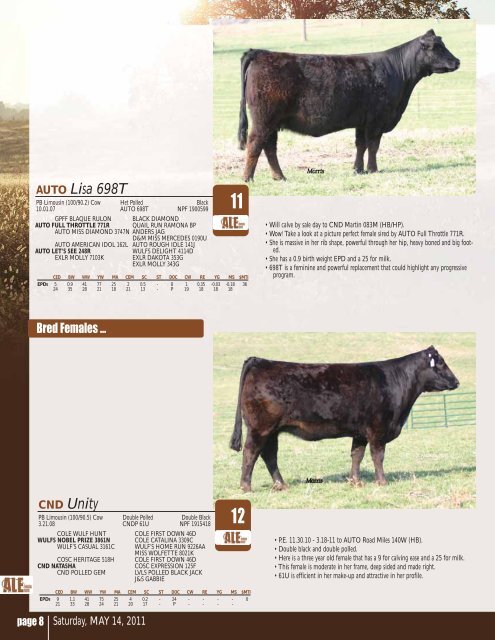 1st Ever Limousin Production Sale May 14, 2011 - Designs by Arin