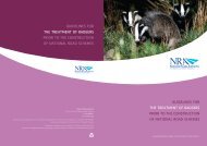 Guidelines for the Treatment of Badgers Prior to - National Roads ...