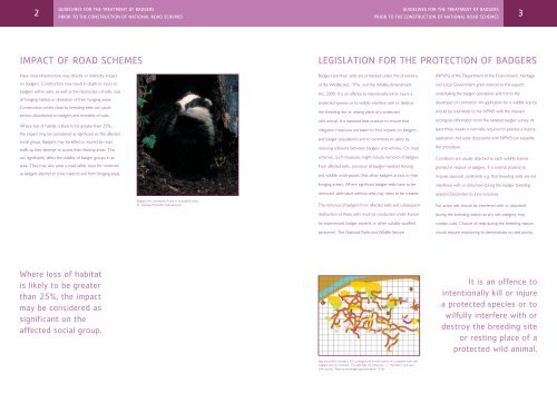 Guidelines for the Treatment of Badgers Prior to - National Roads ...