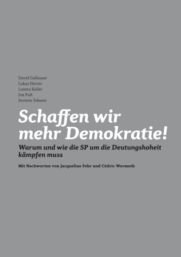 Schaffen wir mehr Demokratie! - deutungshoheit.ch