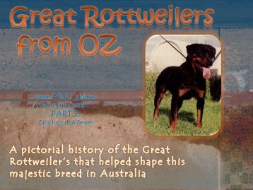 PART 2. - oz rotti review