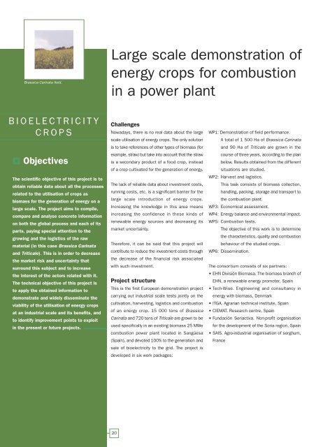 European Bio-Energy Projects