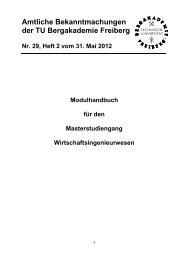 Modulhandbuch (29/2012) - Fakultät 6 - TU Bergakademie Freiberg