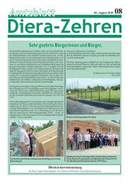 Amtsblatt 08/2010 - Diera-Zehren