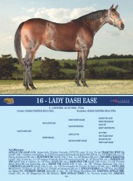 LOTE 16 - LADY DASH EASE.cdr - Haras Fazenda Bela