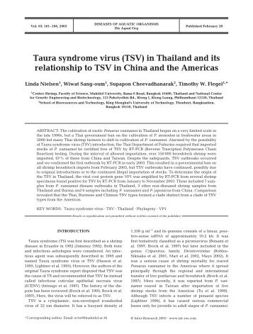 Taura syndrome virus (TSV) in Thailand and its ... - ThaiScience