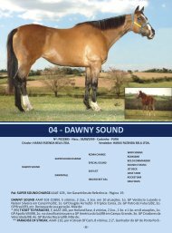 LOTE 04 - DAWNY SOUND hfb.cdr - Haras Fazenda Bela