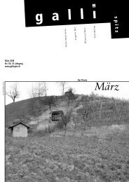 März - Der Gallispitz