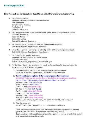 Das Planungsprotokoll als PDF-Datei