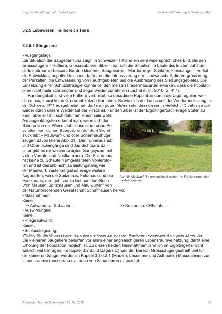 Biodiversitaetsfoerderung_in Siedlungsna... 11641KB 08.09.2012