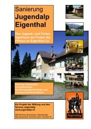 Sanierung Jugendalp (Abschlussarbeit) - Jugendalp Eigenthal