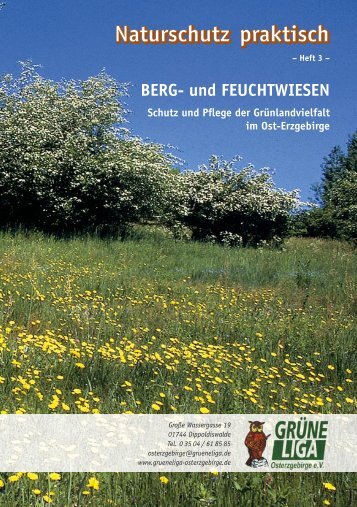 BERG- und FEUCHTWIESEN - Grüne Liga Osterzgebirge