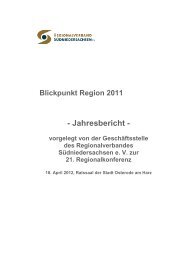 Blickpunkt Region 2011 - Regionalverband Südniedersachsen