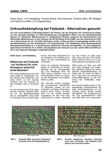 Unkrautbekämpfung bei Feldsalat - Alternativen gesucht