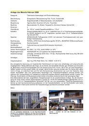 Projektbericht (PDF, 194 kB) - Sonnenhaus-Institut
