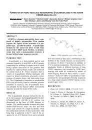 Supramolecular Structures and Functional Nucleic Acids - IS3NA