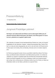 Unterlage Kammerdirektor Pernkopf.pdf