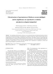 Ultrastructure of spermatozoa of Bullacta exarata (philippi) and its ...