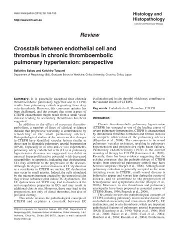 Review Crosstalk between endothelial cell and thrombus in chronic ...